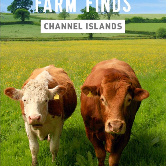 Meet your Posher, Mirlene - Picture 3 of 10